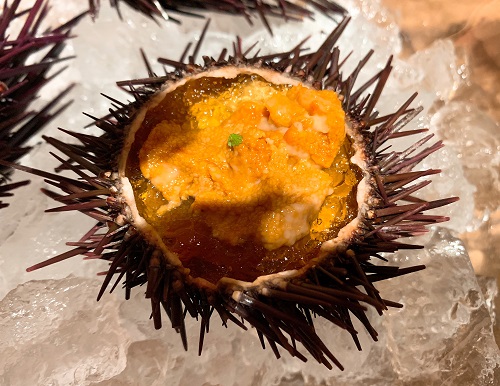 俺のイタリアン 殻付きウニのコンソメジュレ添え