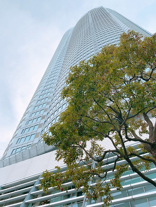 六本木ヒルズ森タワー