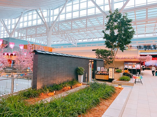 東京国際空港 国際線旅客ターミナル