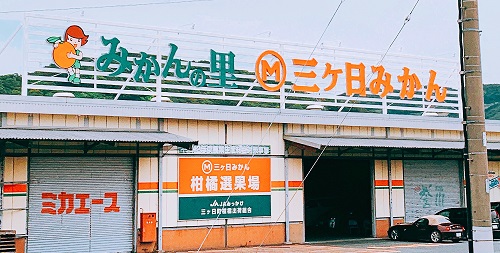 三ケ日みかんの選果場
