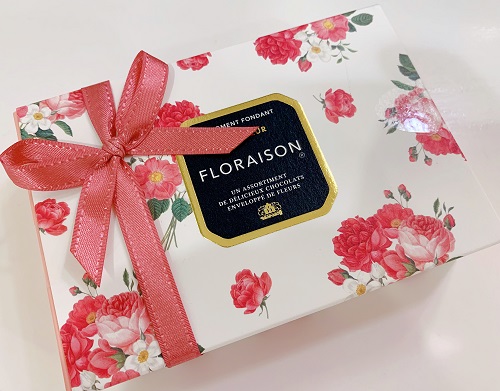 モロゾフ フロレゾンの外装