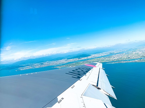 JAL国内線の空