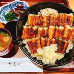 穴子を丼にしたら美味しいこと確定ですやんw「あなごめし うえの」さんが最高過ぎた☆
