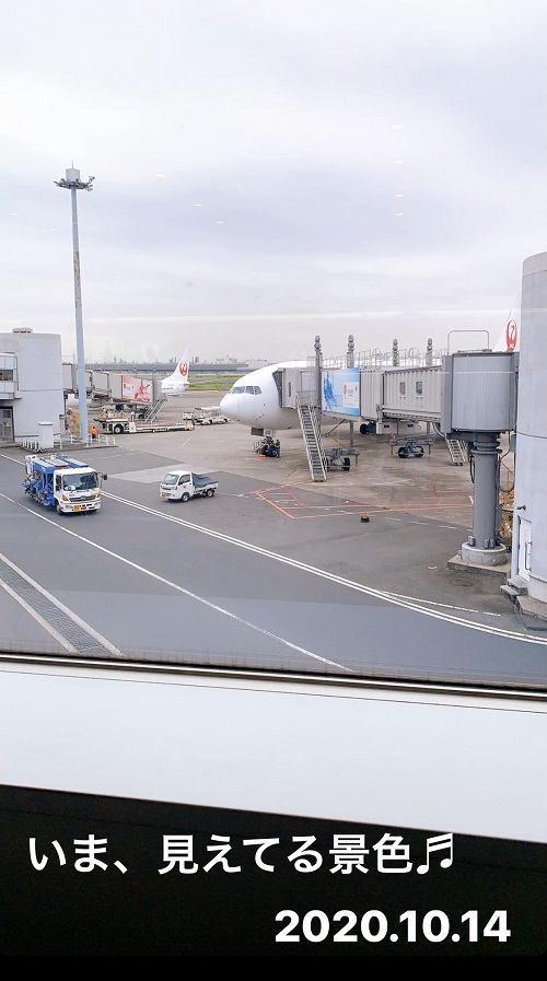 主任審査員としての初仕事後の羽田空港