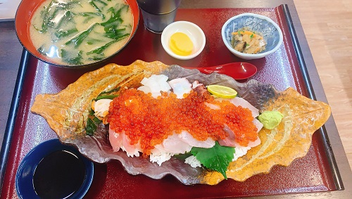 とれたて食堂のとれたて丼セット