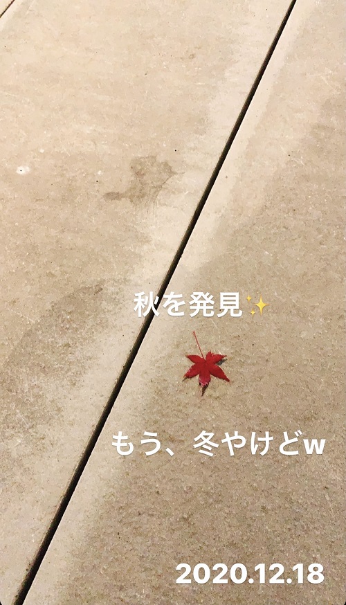 山口で見つけた秋(2020.12.18)