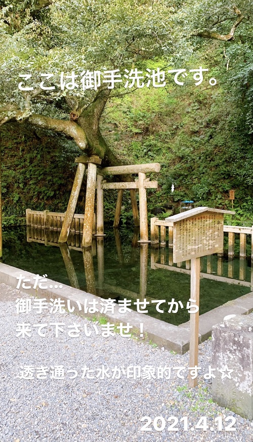 鹿島神宮の御手洗池