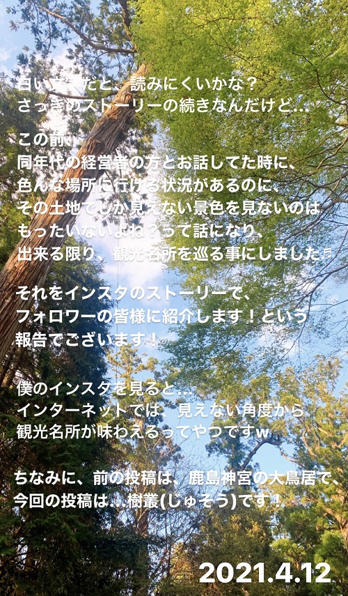 鹿島神宮の樹叢