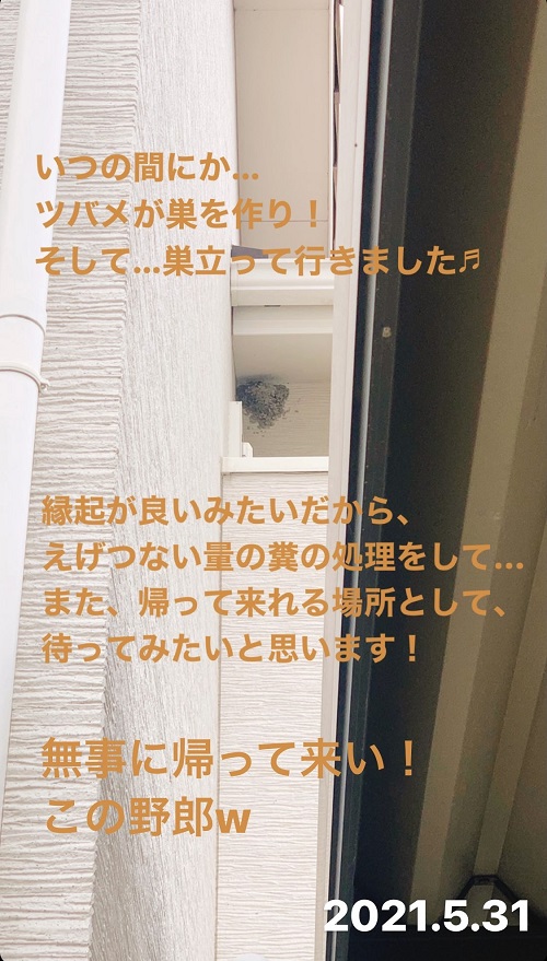 ベランダの燕の素(2021.5.31)