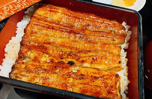 うなぎ 小川菊のうな重(上重)