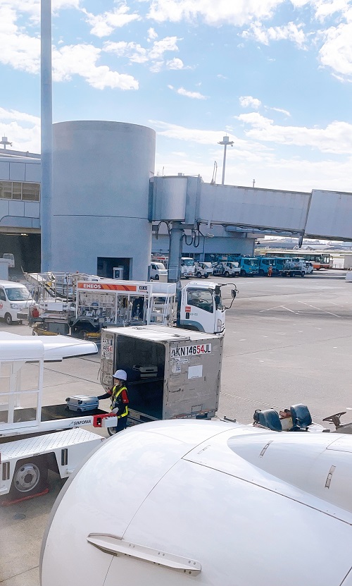 空港荷物の受け渡し状況