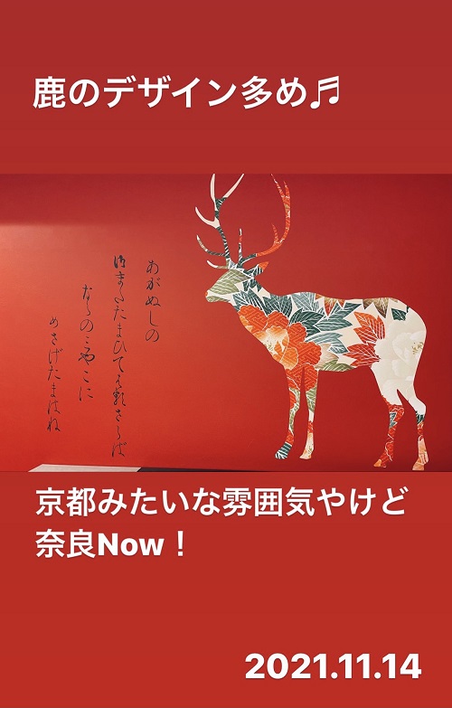 DAIWA ROYAL HOTEL D-PREMIUM NARAの壁紙(2021.11.14)