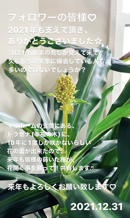 2021年大晦日の投稿