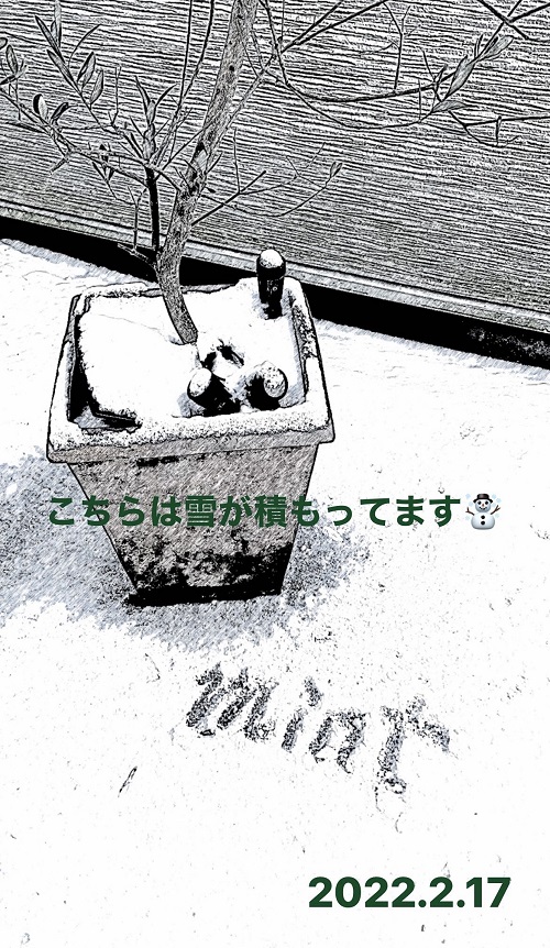 2022年初雪(2022.2.17)