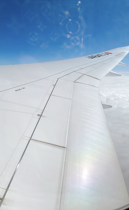 JAL航空機の窓の変化1