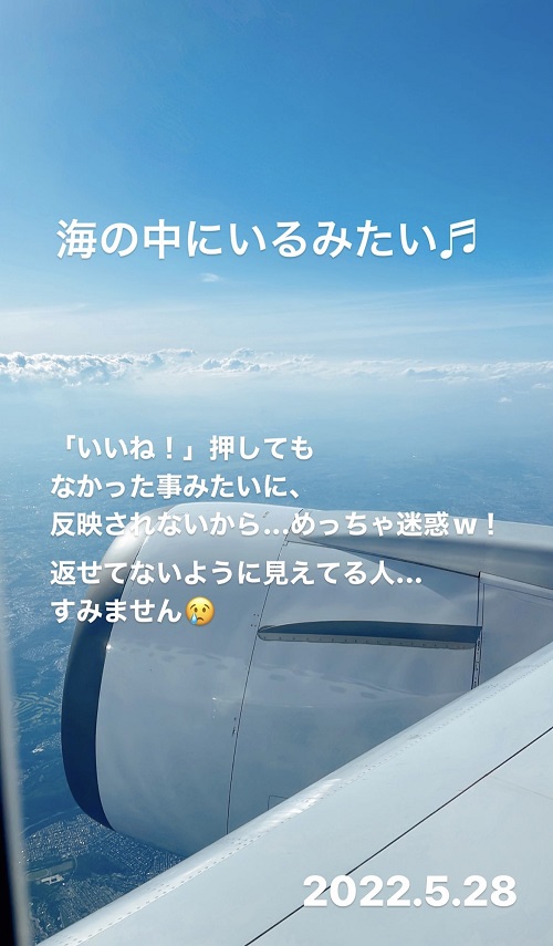羽田空港に向かう飛行機(2022.5.28)