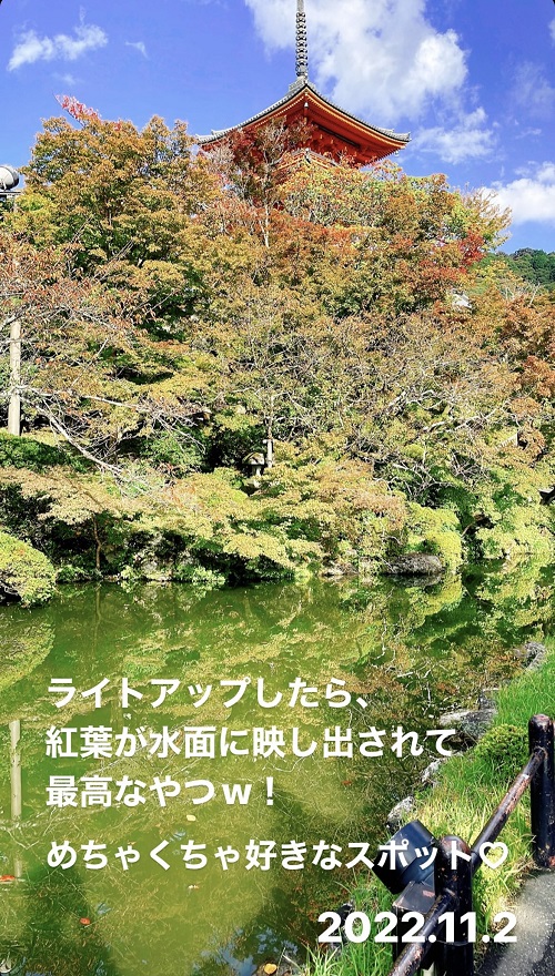 清水寺の下から眺める三重塔