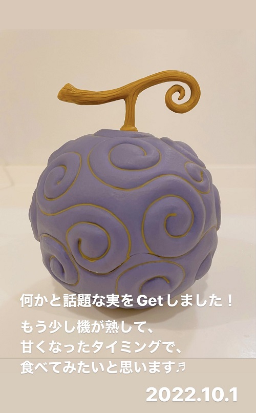 自分へのご褒美に買ったゴムゴムの実(2022.10.1)