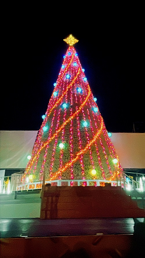 レオマワールドのツリー(2022.12.24)