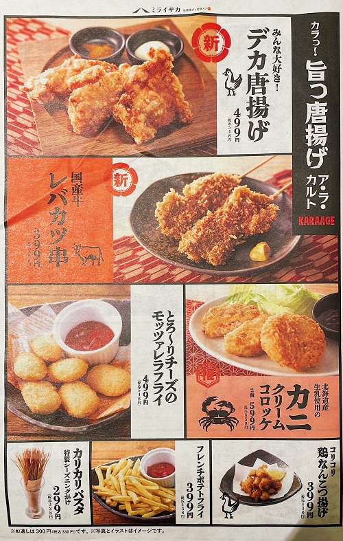 ミライザカ 松山大街道店の揚げ物メニュー