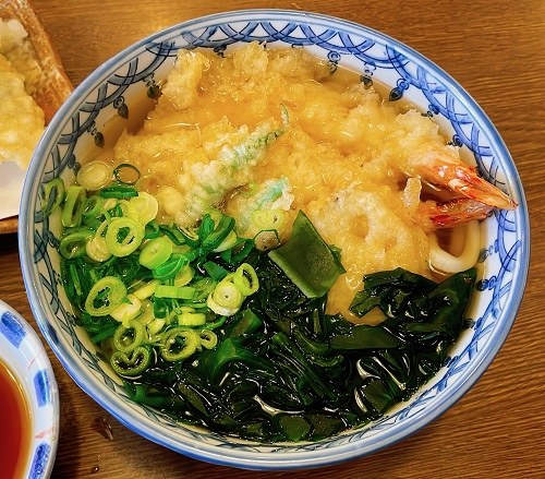さぬき手打うどん 丸亀の天ぷらうどん(上)