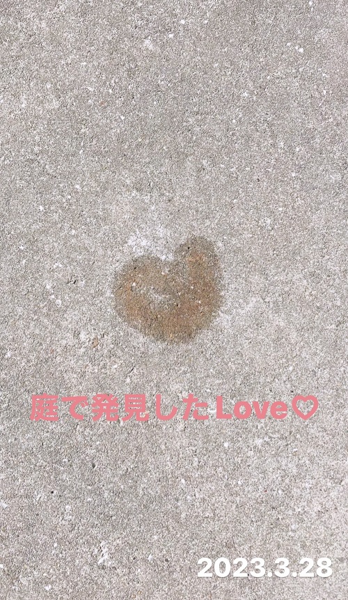 庭で発見したLOVE(2023.3.28)